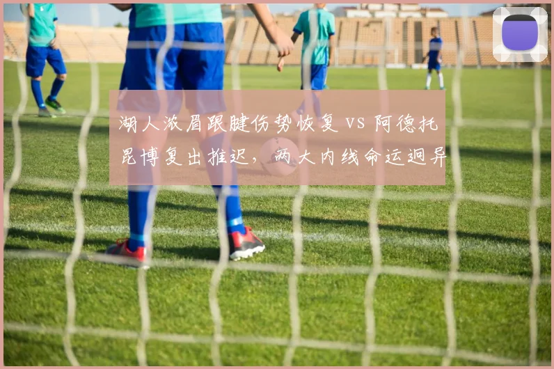 湖人浓眉跟腱伤势恢复 vs 阿德托昆博复出推迟，两大内线命运迥异