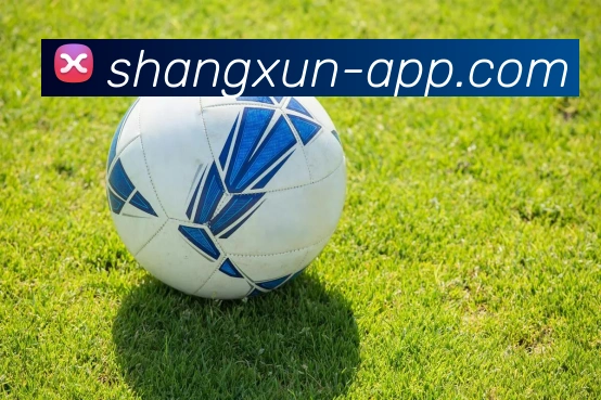 开云Kaiyun下载全站App